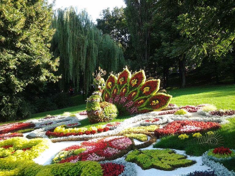 Singing Field (Singing Field) Певчее поле (Певческое поле)