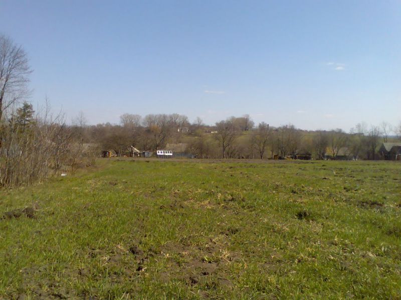 Палац Лозинських, Удріївці