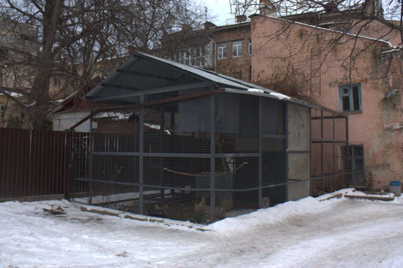 Клетка с воронами Клетка с воронами