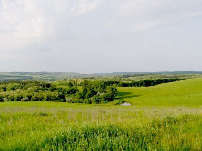 Урочище «Холодний Яр» Урочище «Холодний Яр»