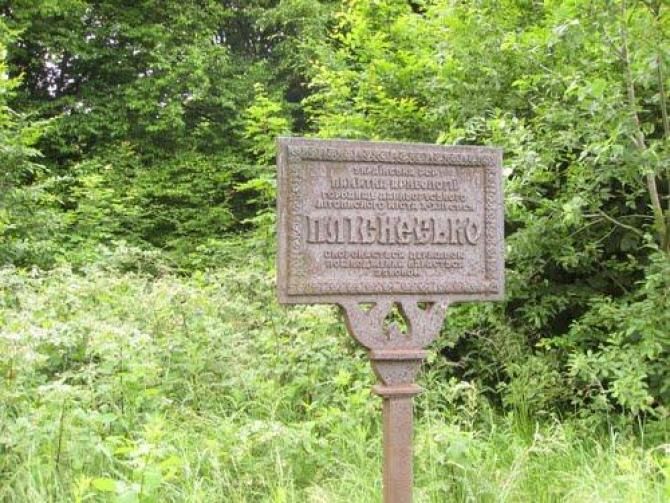 Пліснеськ городище Плиснеское городище