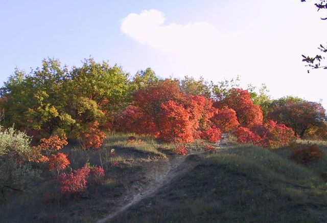 Урочище Тунельна балка, Дніпропетровськ Урочище Тунельна балка, Дніпропетровськ