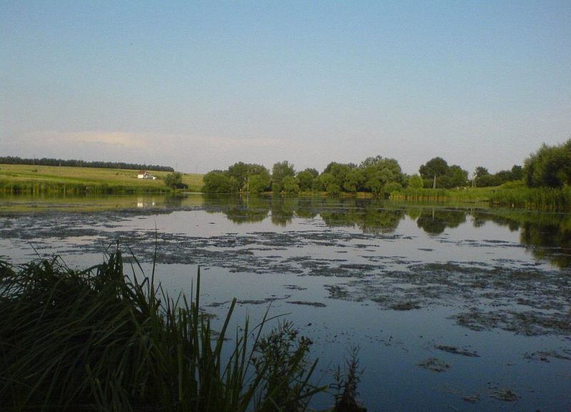 Lyubotinsky ponds title=Ljubotinsky ponds ></p></li><li>Lubotinsky ponds</p></p></p></p></p></p></p></p><p>p class = pimg><img src=/images/pages/2014_09/a8a2998203314911401546a0d3395db4.jpg alt=Lubotinsky Ponds title=Lubotinsky Ponds></p><p class = pimg><img src=/images/pages/2014_09/534bd14ac9d9aacddac4b540e40aeb1c.jpg alt=Lubotinsky Ponds title=Ljubotinsky Ponds></p>