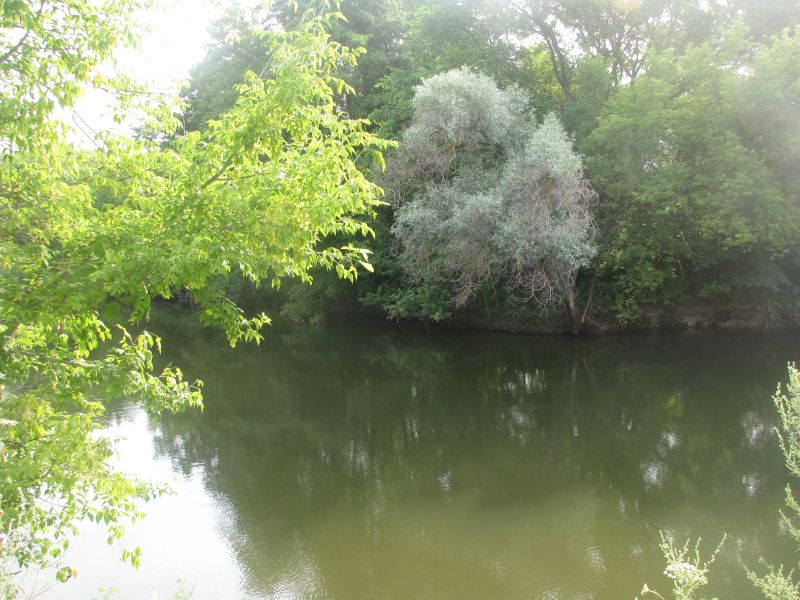 Национальний природный парк «Двуречанский» Национальний природный парк «Двуречанский»