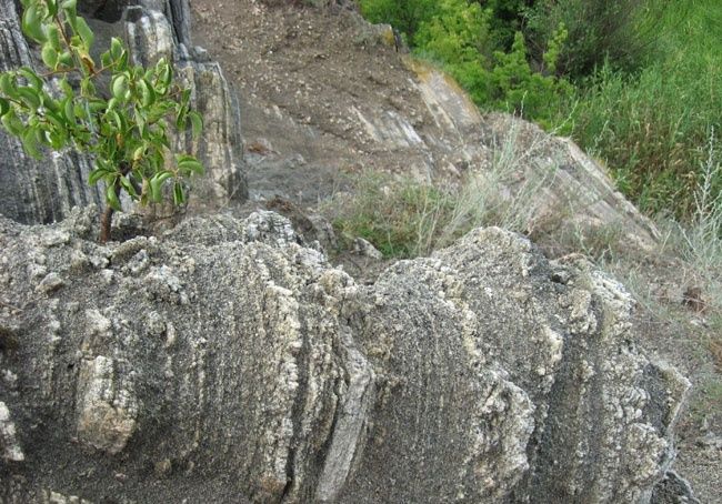 Cantera de Eliseyevsky