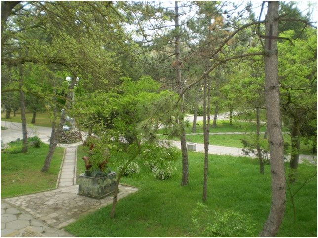 Frunze Park Frunze Park