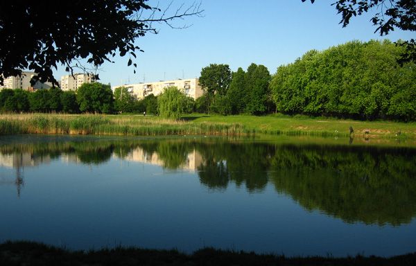 Парк «Горіховий гай»