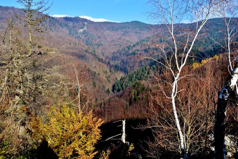 End of ecotourism route On Falconry Bird