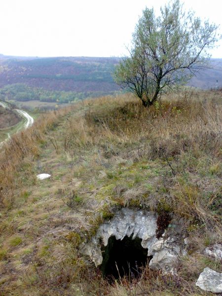 Китайгородский разрез, Китайгород