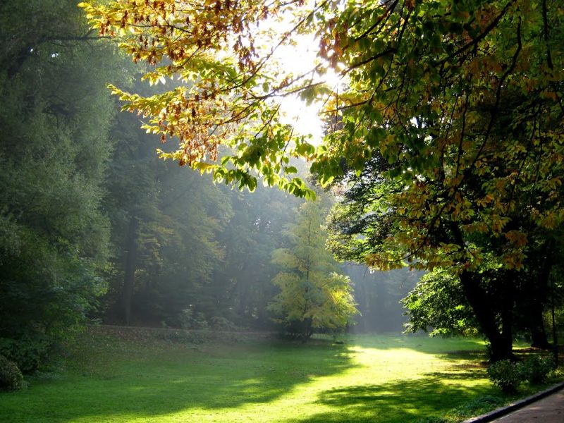 Стрыйский парк Стрыйский парк