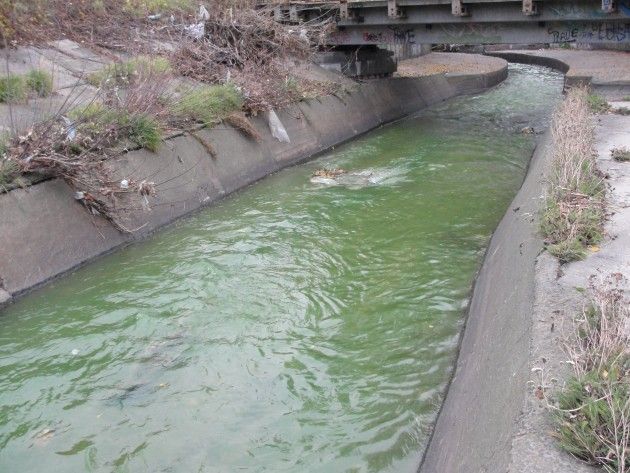 Лыбедь река