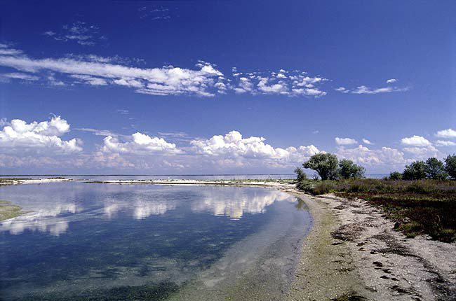 Кінбурнська коса Кинбурнская коса