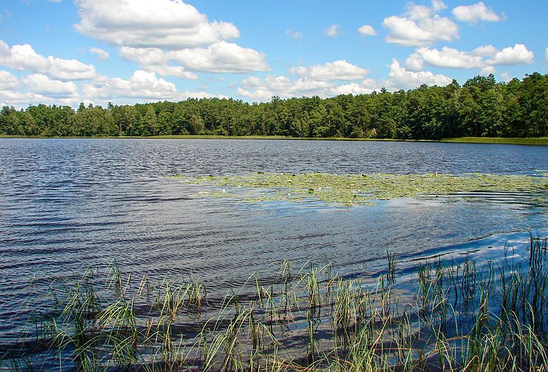 Озеро, Стрільськ