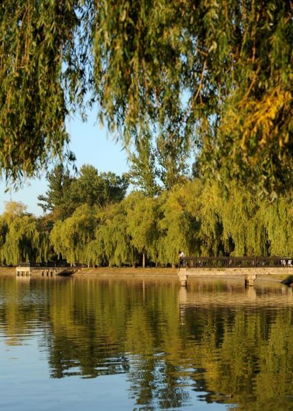 Urban lake, Ivano-Frankivsk 