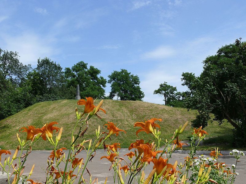 Курган «Черная могила»