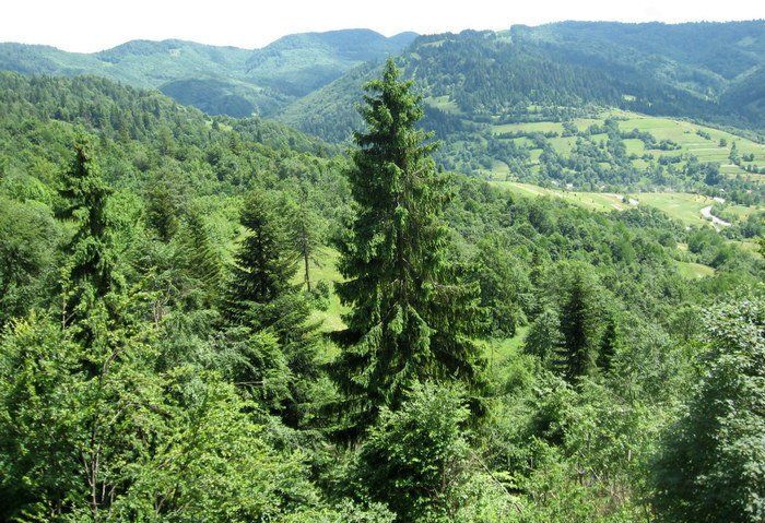 Ужокский перевал Ужокский перевал