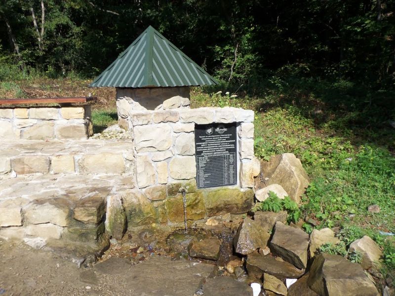 Mineral spring, Shevchenkovo ​​