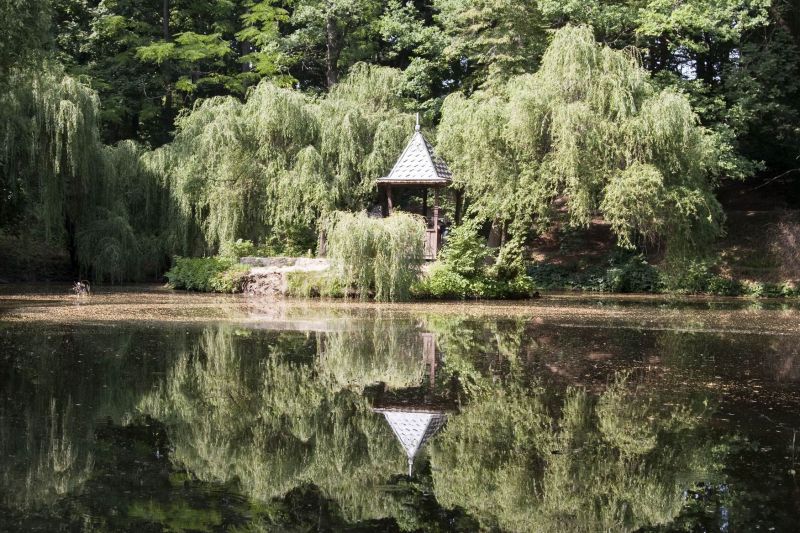 Krasnokutsky arboretum Краснокутский дендропарк