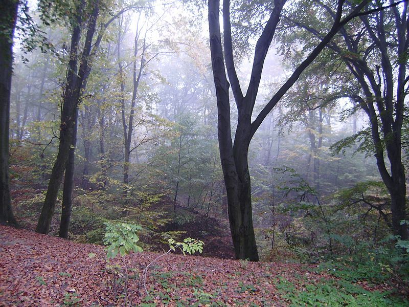 Парк «Залізна вода»