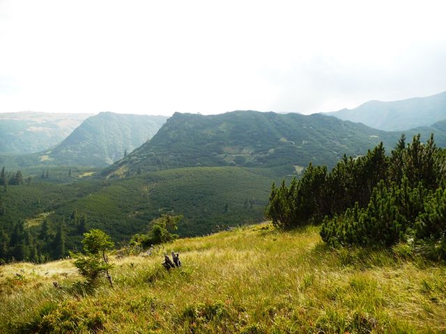 Національний природний парк «Верховинський» Национальный природный парк «Верховинский»
