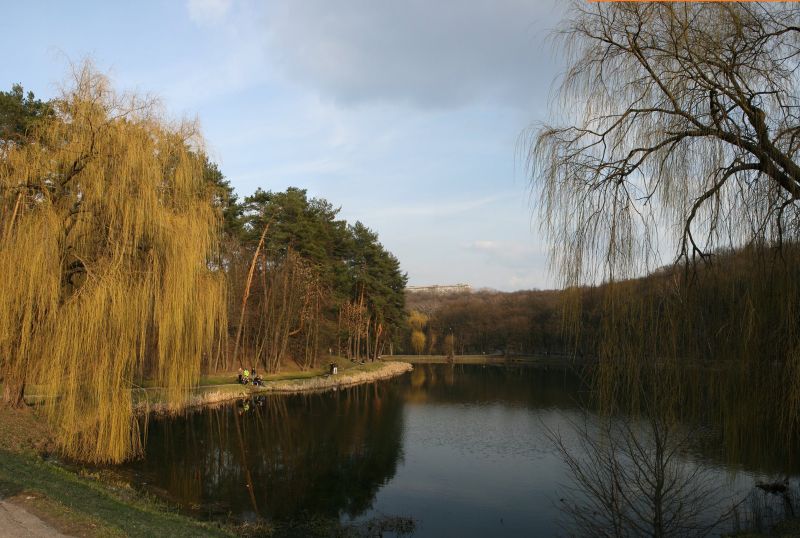 Голосеевский парк имени Максима Рыльского