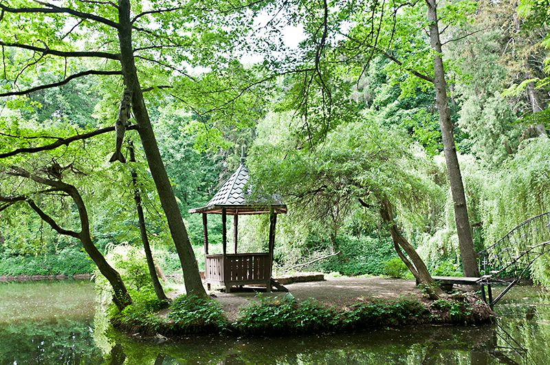 Krasnokutsky arboretum Краснокутский дендропарк