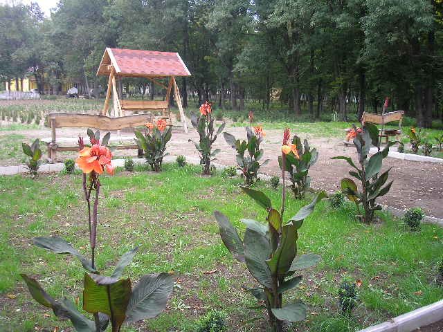 Олександрівський парк, Благодатне