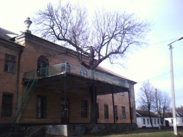 Grocholsky Manor, Gritsev