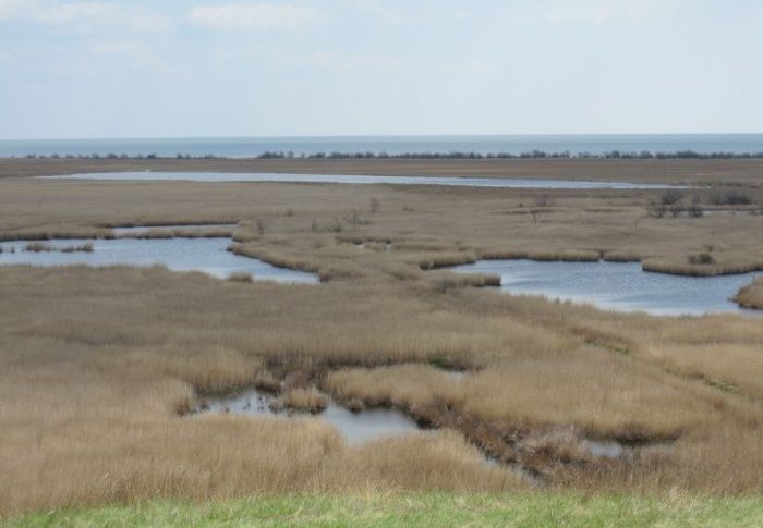 Sweet Liman, Berdyansk Sweet Liman, Berdyansk