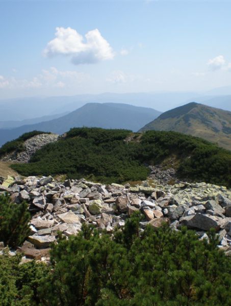 Национальный природный парк Синевир Национальный природный парк Синевир