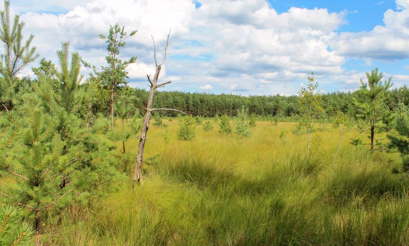 Zalavsky zakaznik, Zalav'e