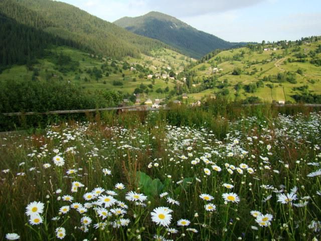 Национальный природный парк Синевир Национальный природный парк Синевир
