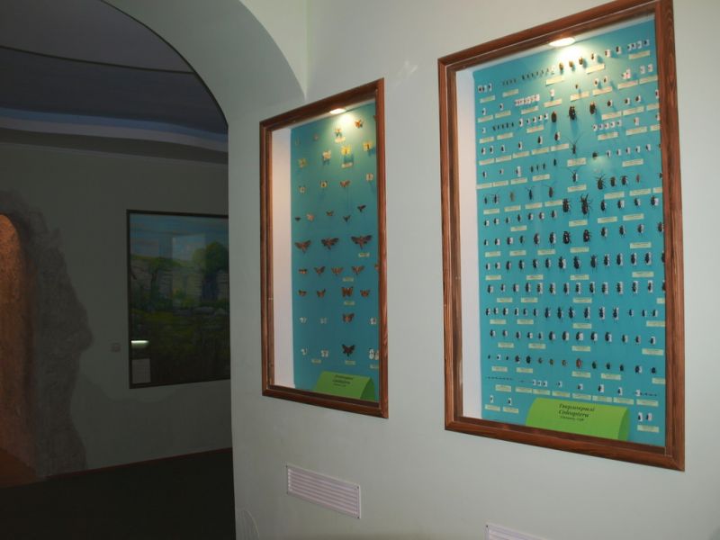 Музей Природа Землі Галицької Музей Природа Землі Галицької