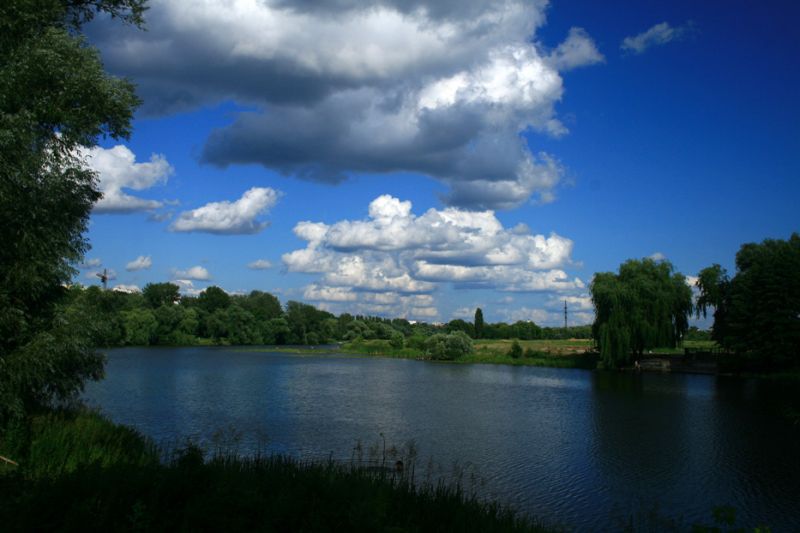 State Alexandria Dendrological Park