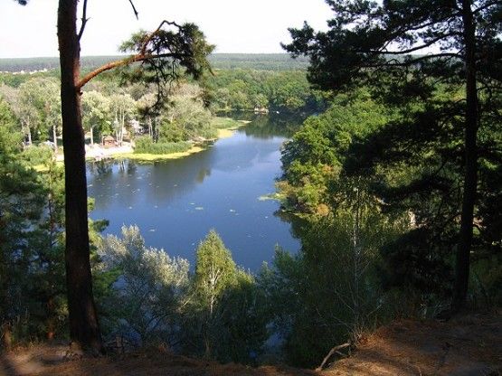 Национальный природный парк Гомольшанские леса, Задонецкое Национальный природный парк Гомольшанские леса, Задонецкое