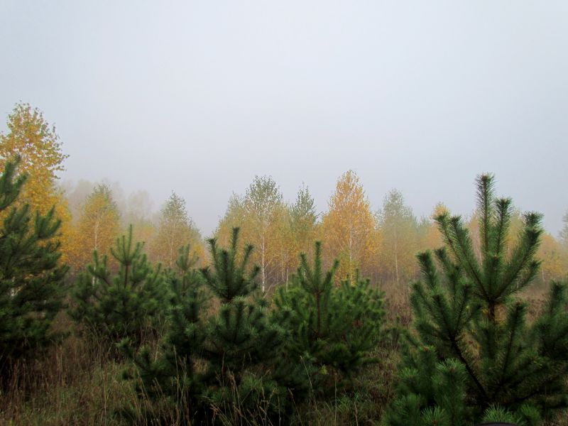 Mezinsky Nature Park Мезинский природный парк