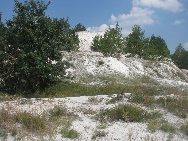 Национальний природный парк «Двуречанский» Национальний природный парк «Двуречанский»