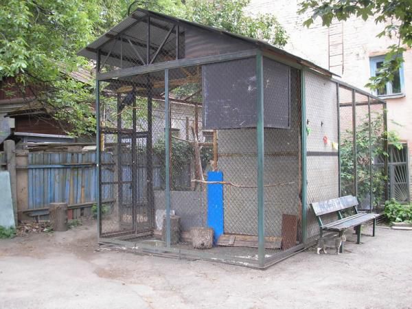 Клетка с воронами Клетка с воронами