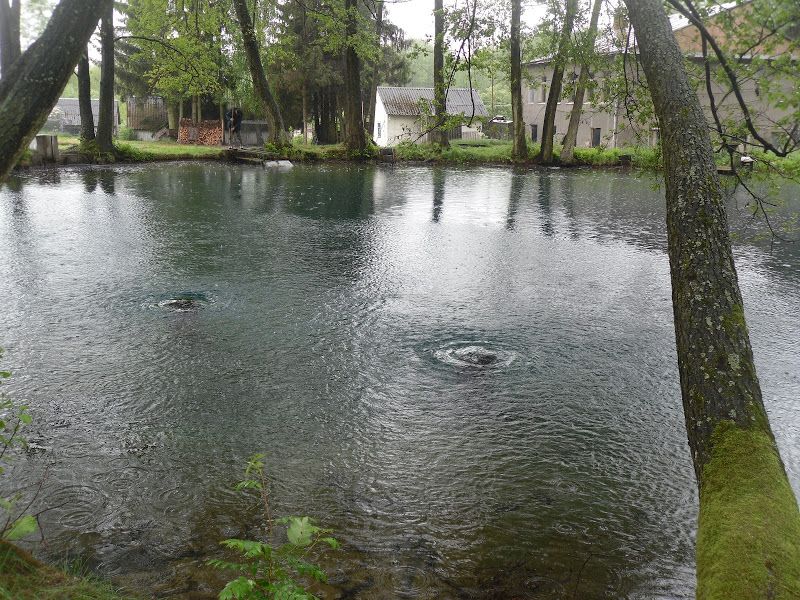 Okonskie springs, Okonsk