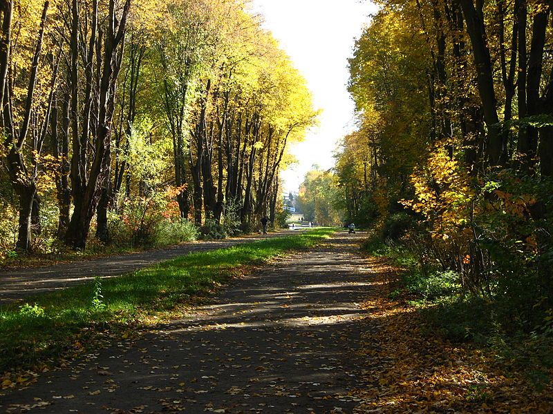 Снопковский парк