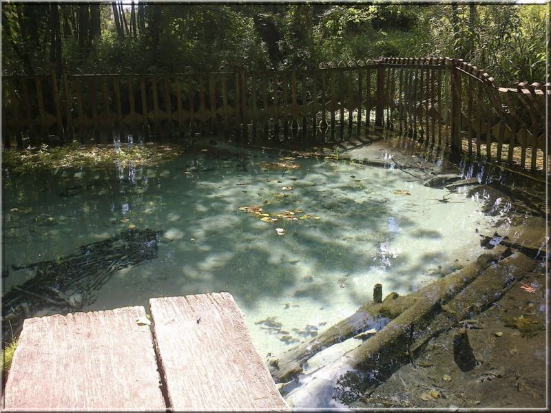 The source Ushevskaya krenitsa