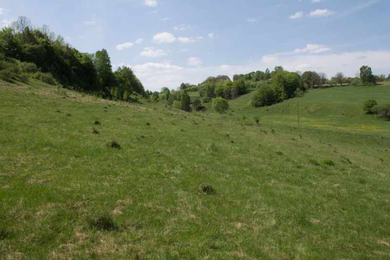 The Moshchatytsky Reserve 