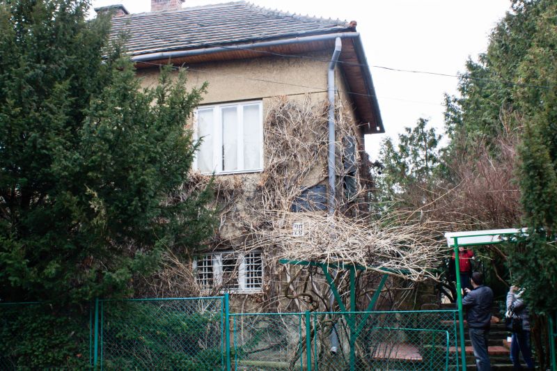 House-Museum of the People's Artist of Ukraine Andrei Kotsky