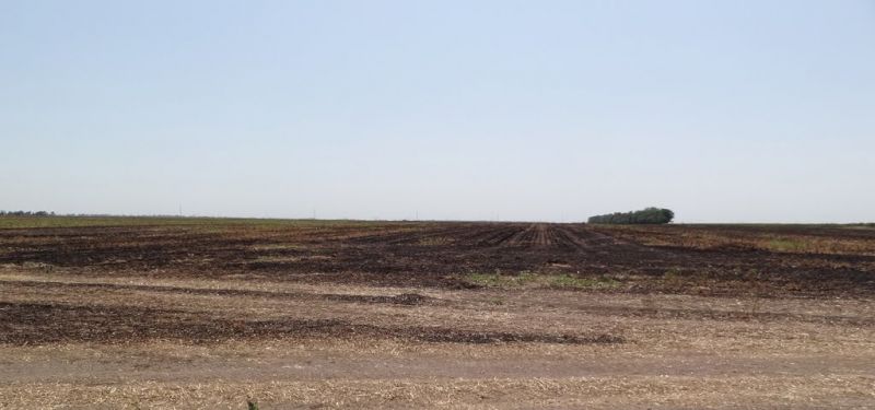 Гайманова могила