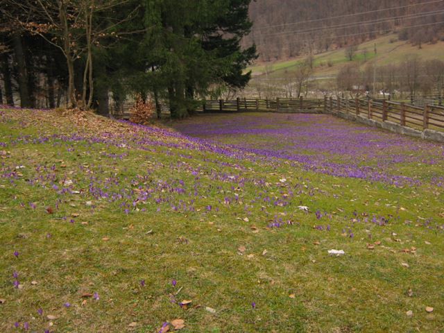 Национальный природный парк Синевир Национальный природный парк Синевир