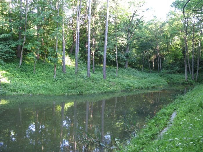 Центральный парк Адамовка (Курортный парк)