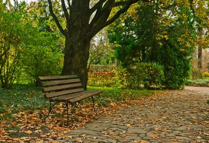 Сырецкий дендропарк Сырецкий дендропарк