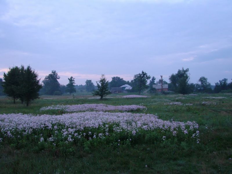 Hydrological reserve Khukhryansky