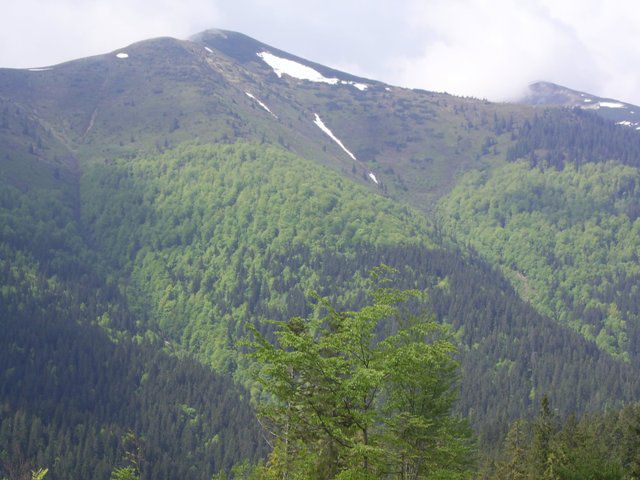 Национальный природный парк Синевир Национальный природный парк Синевир