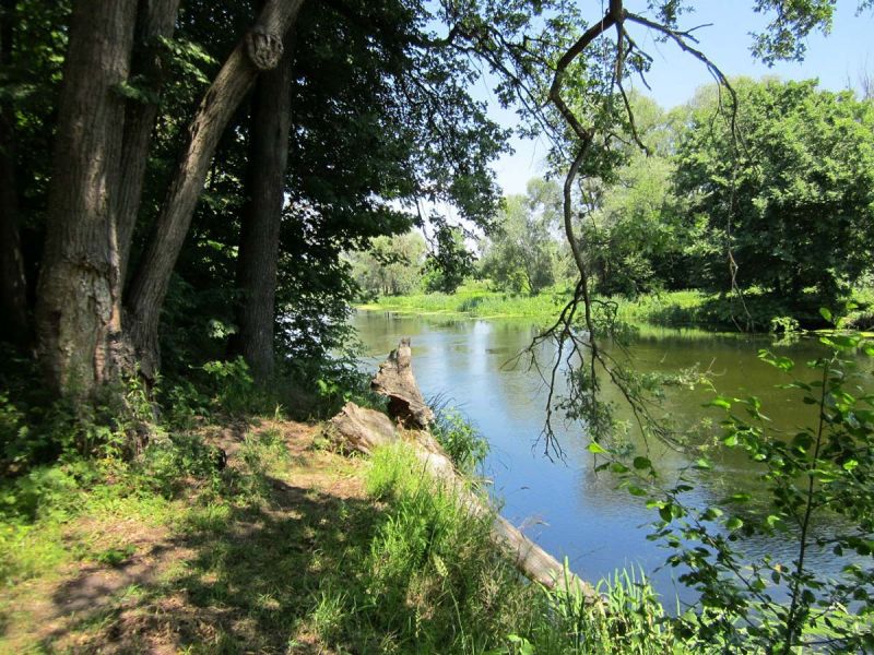 Национальный природный парк Гомольшанские леса, Задонецкое Национальный природный парк Гомольшанские леса, Задонецкое